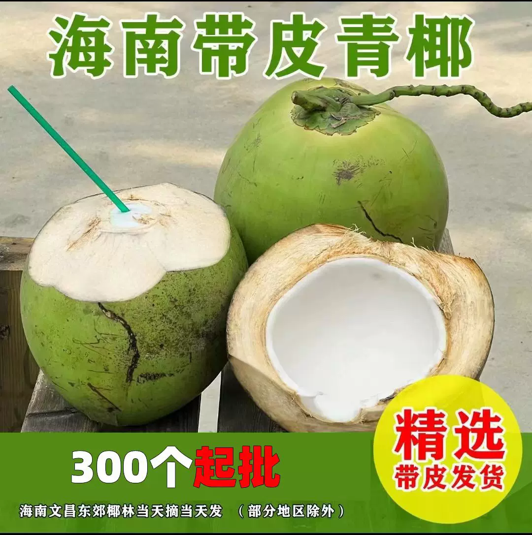 椰青海南椰子3-8斤果新鲜现摘文昌厂家直发300个起批椰子蛋不包邮