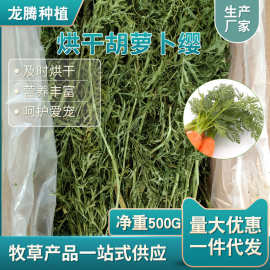 烘干胡萝卜缨宠物粮食 兔子荷兰猪胡萝卜叶干草 胡萝卜缨厂家