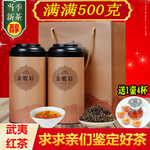 送茶具 武夷红茶金骏眉礼盒装500g 金骏眉茶叶 一件代发 乡田闽农