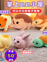 littlelivepets����ſſС�����������÷��滥���B����ӌ������