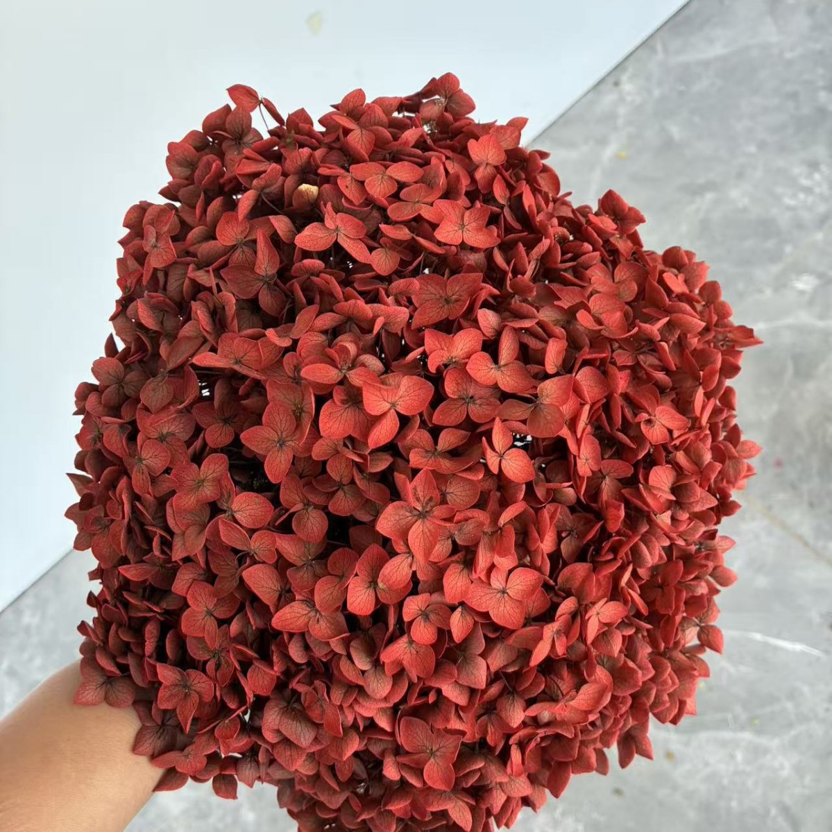 Merah Cina