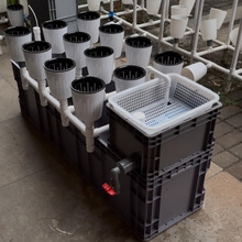 ˮ�ೱϫ�߲˷Nֲ�C�������~�˹���ϵ�y���軨�ܺ�����