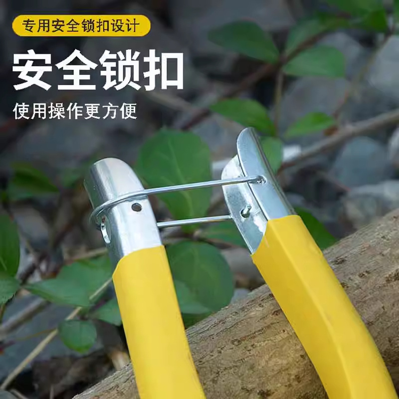 亚马逊园艺修枝剪刀园林修花盆栽摘果专用果园柑橘摘葡萄罗定果剪|undefined