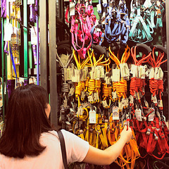 Touchdog它它狗狗牽引繩狗鏈狗胸背心式小中大型犬遛狗繩寵物用品