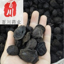 ��÷��ș�� ��÷�� ��÷�����lɽ髞�÷ɣ����÷��ԭ��ֱ��