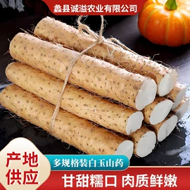 山药及其制品