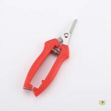 ?ժ������֦��ϡ���@ˇ��ˮ�������߲˲�ժ���Ѽ��Ӳɹ�ժ������