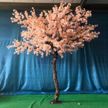 �S��ֱ�N���ϴ��ͼ٘��c�F���b���������Gֲ�t�����һ���