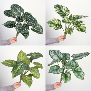 ����ֲ������~�Gɫֲ��쾰�O���~ˮ���b��������پGֲ�~��