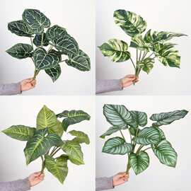 仿真植物白掌叶绿色植物墙造景苹果叶水培装饰美陈人造假绿植叶材