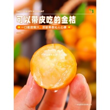 �����Ƥ���r�V��10����ˮ���ЋD������]�����ڰ�С���ӽ����