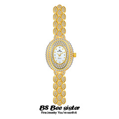 BS waterproof hot selling watch manufacturer direct sales foreign trade watch full diamond brand women's watch 1067 new face