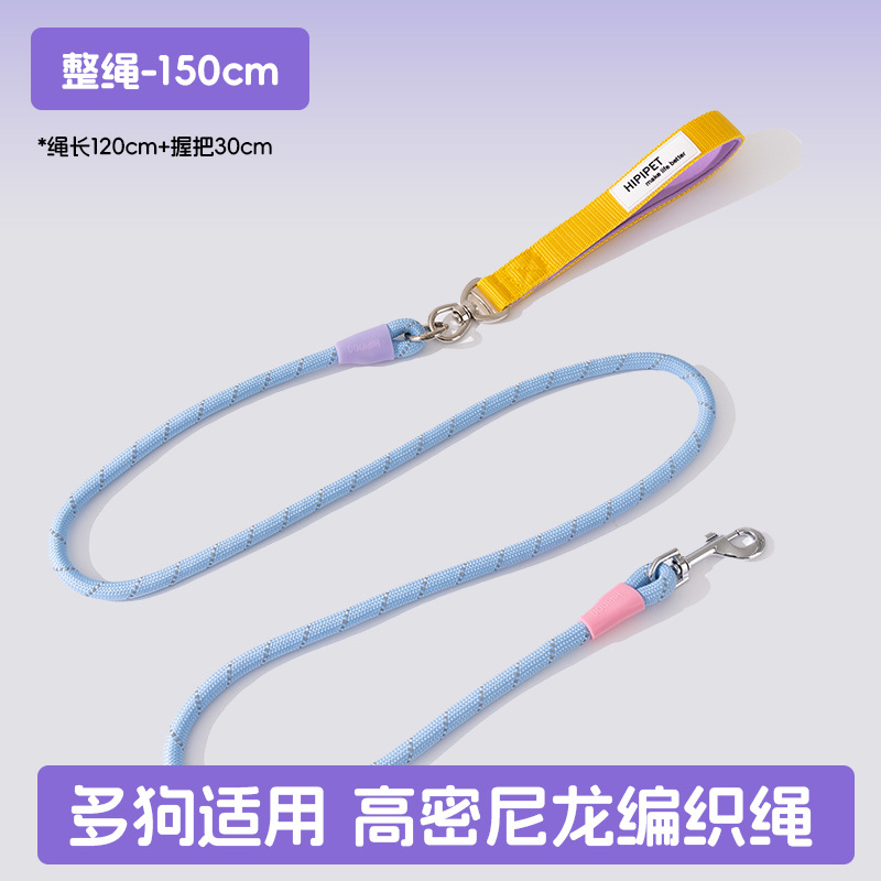 Los perros salen, perros pequeños y medianos, contraste de moda, uno arrastra tres, cuerda de tracción, muchos perros paseando a su perro, cuerda para perros, suministros para perros