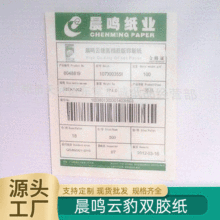 100�˳��Q��R�p���z�漈 �k���弈���a��ӡ���p�z�L�D��