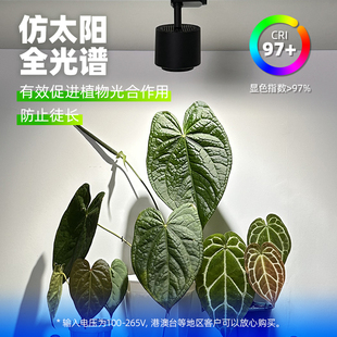 ∝全光谱植物墙补光灯轨道射灯室内景观绿植补光灯LED生长