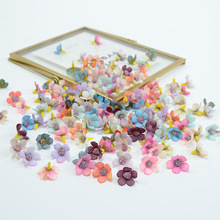 �����r�ջ���2cmС�r�ջ��^�ǺЈF�Ȱ��ֶY�ֹ�DIY�b��b�^�