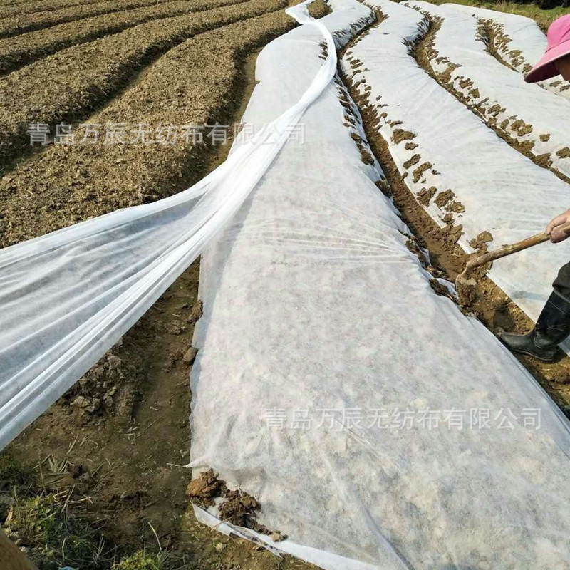 Foreign trade export agricultural non-woven fabric pp spunbond non-woven fabric Agricultural Planting cover soil cloth dust and grass-proof non-woven fabric