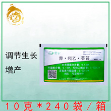 �¹����ڱ̻���&middot;����&middot;̦ܿ����������ҩ��ֲ���������ڼ�10g