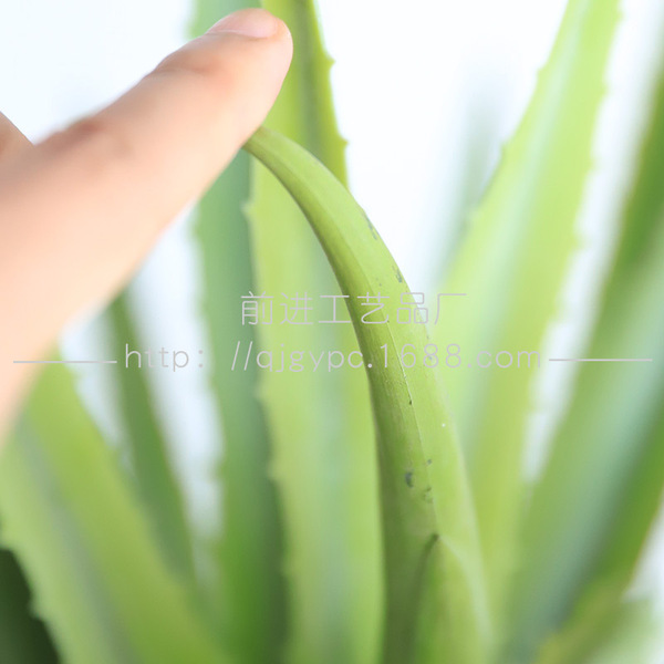 Soft glue material feel long -leaf vera vera vera high simulation…