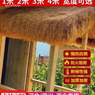 é�ݸ�������ë����픵����r�Ҙ����^��ͤͥԺ��̺ʽ�b���