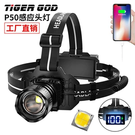 头灯头戴电筒;手电筒;提灯