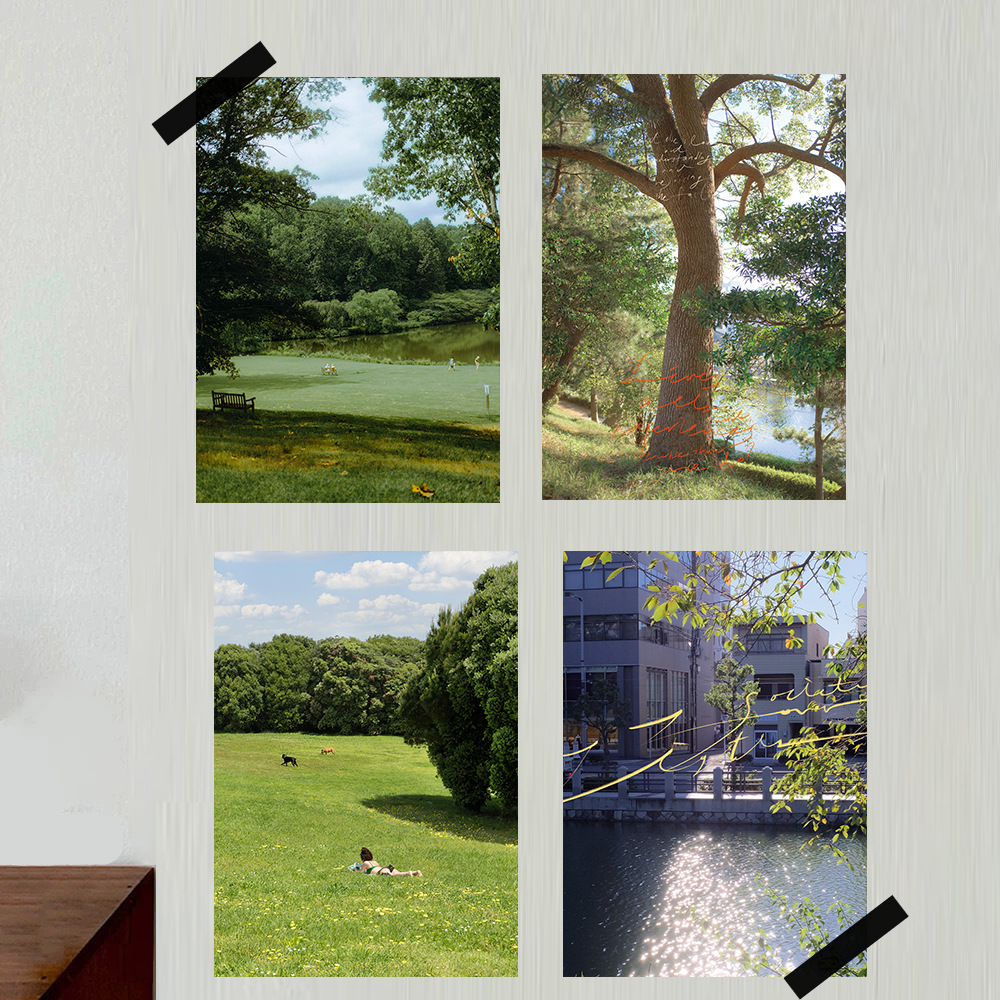 Healing Landscape Mountain Forest Foreign Green Photography Niche Natural Window Scenery Poster Guest Restaurant Decorative Painting Core