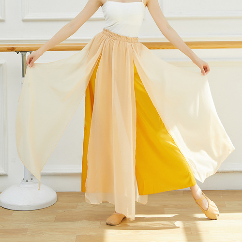 Classical Dancer Wa Pants Spring and Summer New Adult Practice Dance Pants Loose Split Wide Leg Performance Pants