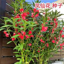 �P�ɻ��N�Ӷ�ɫ��Ⱦָ�׻��N���߲�С�P���ļ��r���Gֲ���Ի��N��