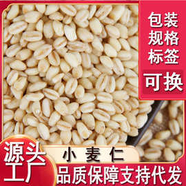 新货小麦仁全麦优质小麦仁五斤批发代发品质保障