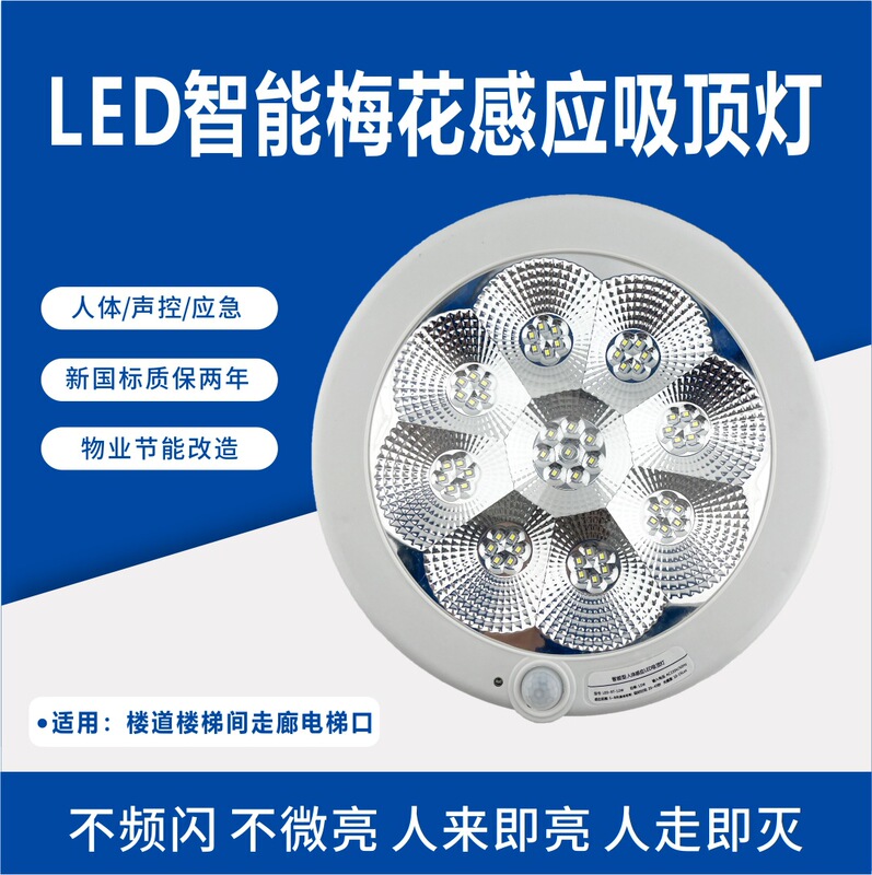 Led Ceiling Light Infrared Human Voice-Activated Sensor Light Corridor Plum Blossom Light Emergency Light Garage Light Emergency Lighting