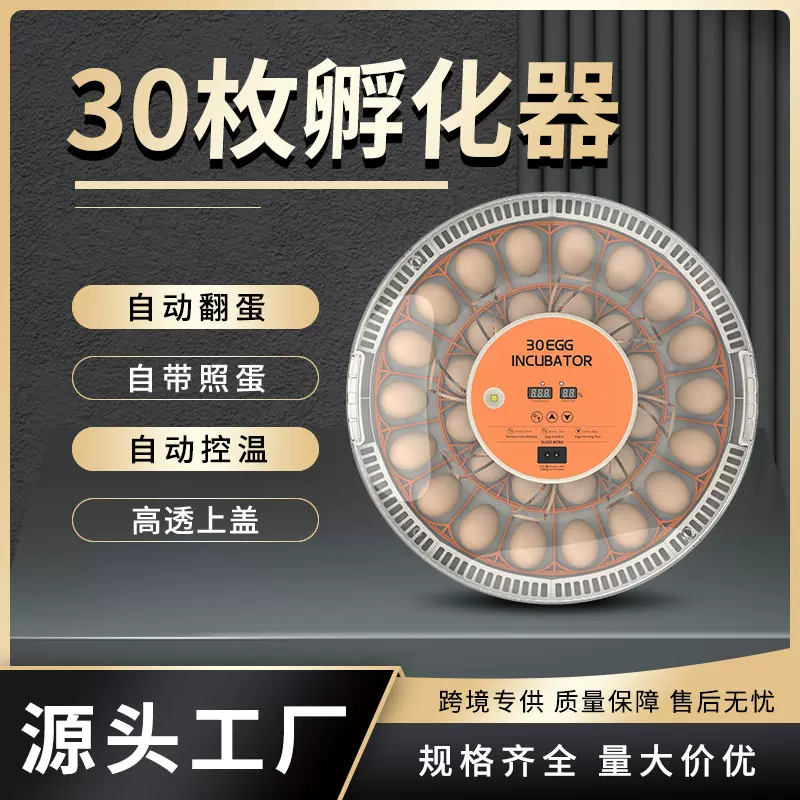 智能新型孵化机30枚自动翻蛋孵化器 迷你家用小型孵化设备