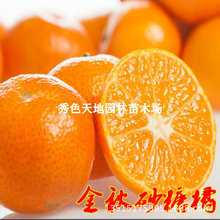 �o���������ɰ������ɳ�ǽۘ������ָ��۽��Ӽ޽ӹ������Ϸ�����