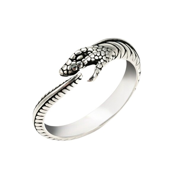 Trend universal fashionable small design creative ring