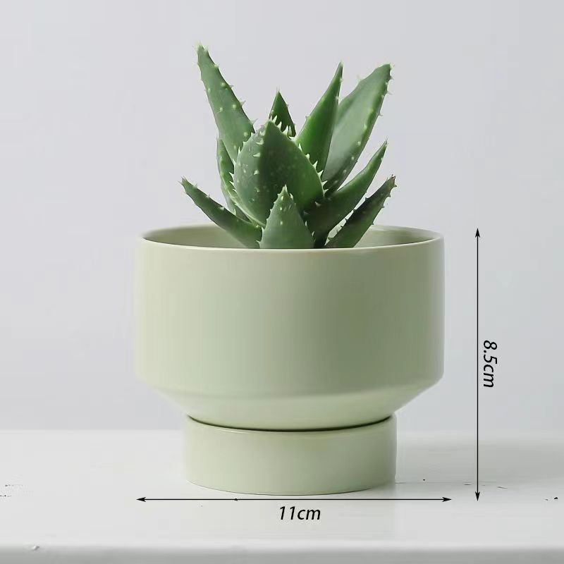 Un cactus de corazón pequeño maceta flores suculentas plantas verdes fáciles de alimentar y vivir decoración de escritorio de oficina fácil de vivir image 10