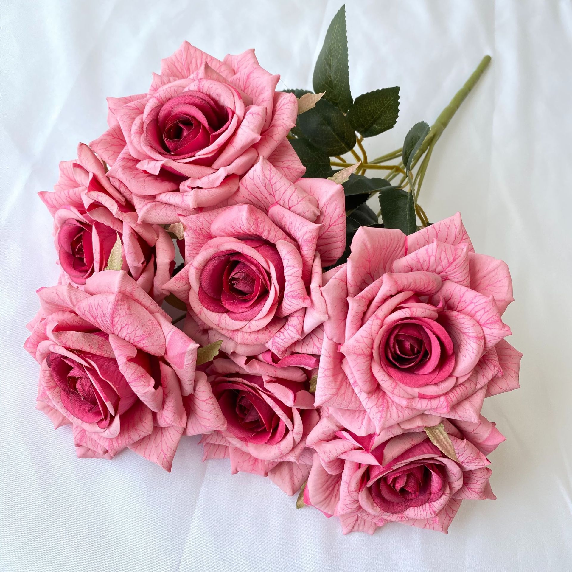 rosa rosa