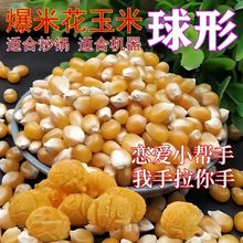 爆米花玉米种子球形香甜美爆裂玉米春夏冬季四季香糯种籽可种植
