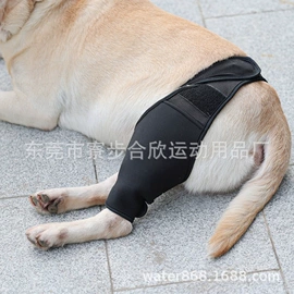 潜水用品;潜水服;其他水上运动