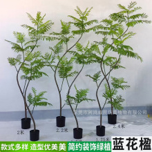 �����{��麾Gֲ �҃ȿ͏d������ɢβ�����������z�ŷ������Լ٘�