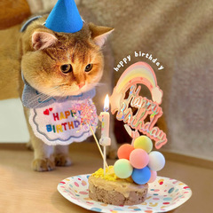 猫の誕生日ドレスアップペット唾液タオルよだれかけ子犬よだれかけ帽子誕生日ケーキよだれかけ装飾