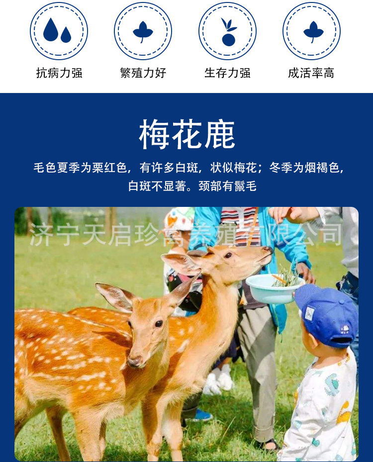 6bc63aaa96021d32a5de22a15ede70