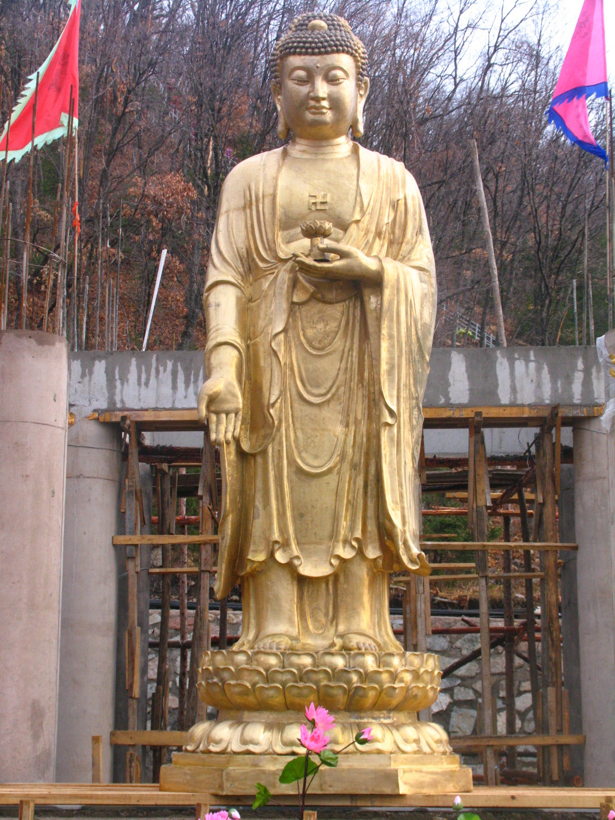 详情图