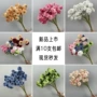 婚庆酒店布置婚礼锦鲤