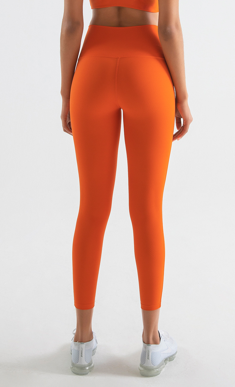 Classic Style Sport Style Solid Color Nylon Spandex Active Bottoms Leggings display picture 3