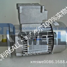 RL71A 2(RL0004) �����RAEL Motori Elettrici�Ї��^��������