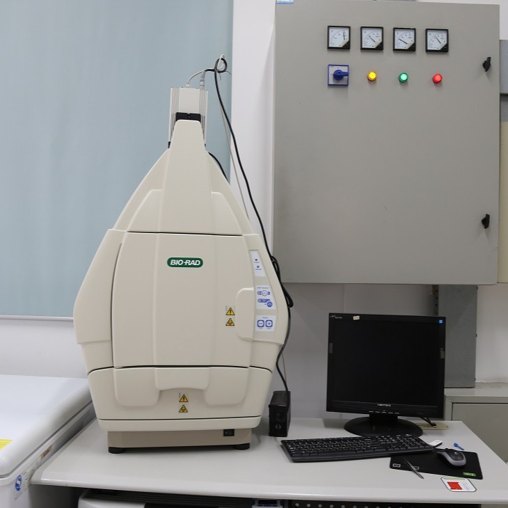 载体构建和蛋白表达服务  技术服务  索莱宝