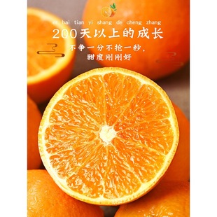 ������ꖱ��ǳ����r����ˮ������10�������������ք��Fժ