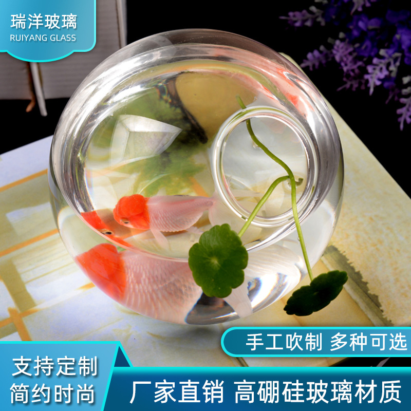 Glass transparent aquarium