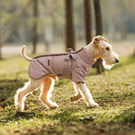 狗狗服装;宠物绝育服/生理裤;狗狗牵引
