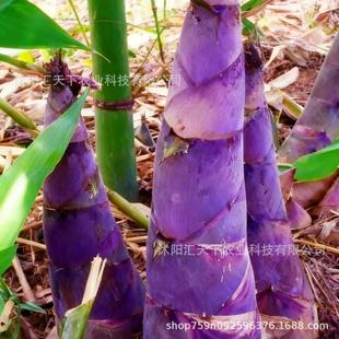 �羳���ˮ����S�N��������M�ڷN��, ��ˮ���S  �������Ե���S