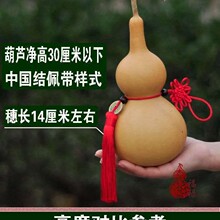 �Ӽҿ͏d�Ї��Y���J��[�� �����^���J�[�� �{��������J